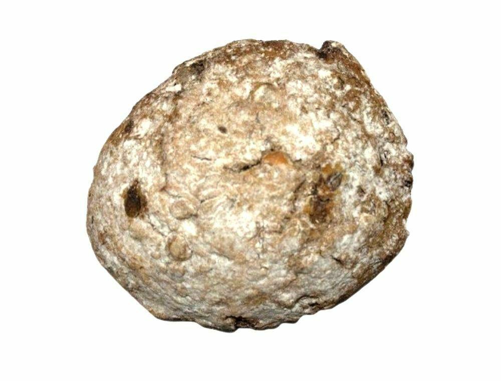 Noten-rozijnenbrood