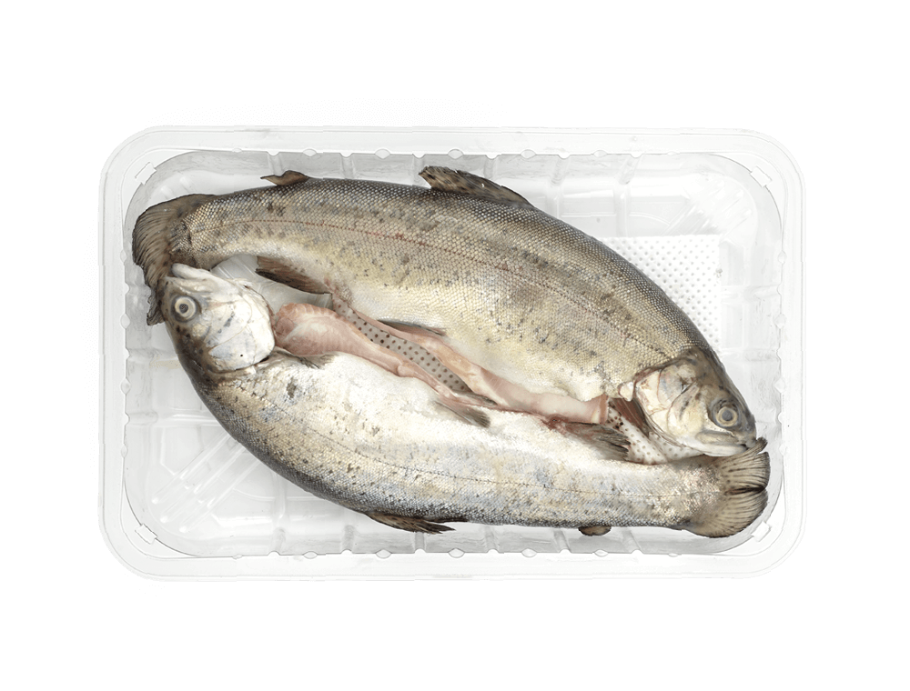 Spar forellen (2 x ± 200 g)